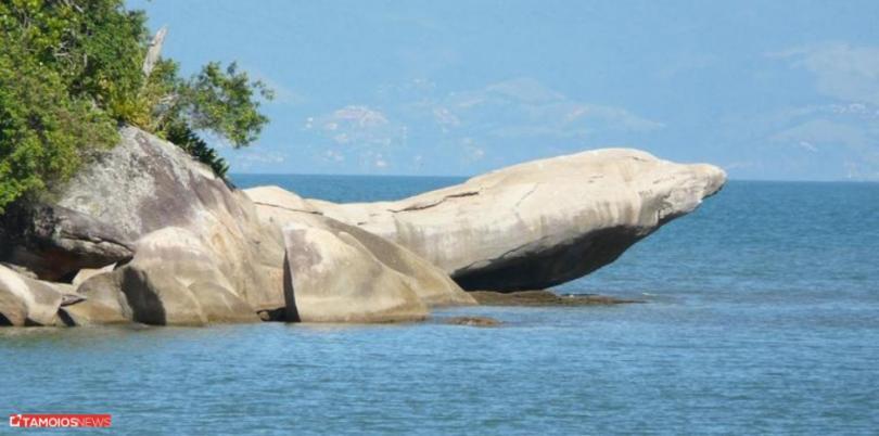 Apto Lindo E Aconchegante Com Piscina 202A Caraguatatuba Exterior foto